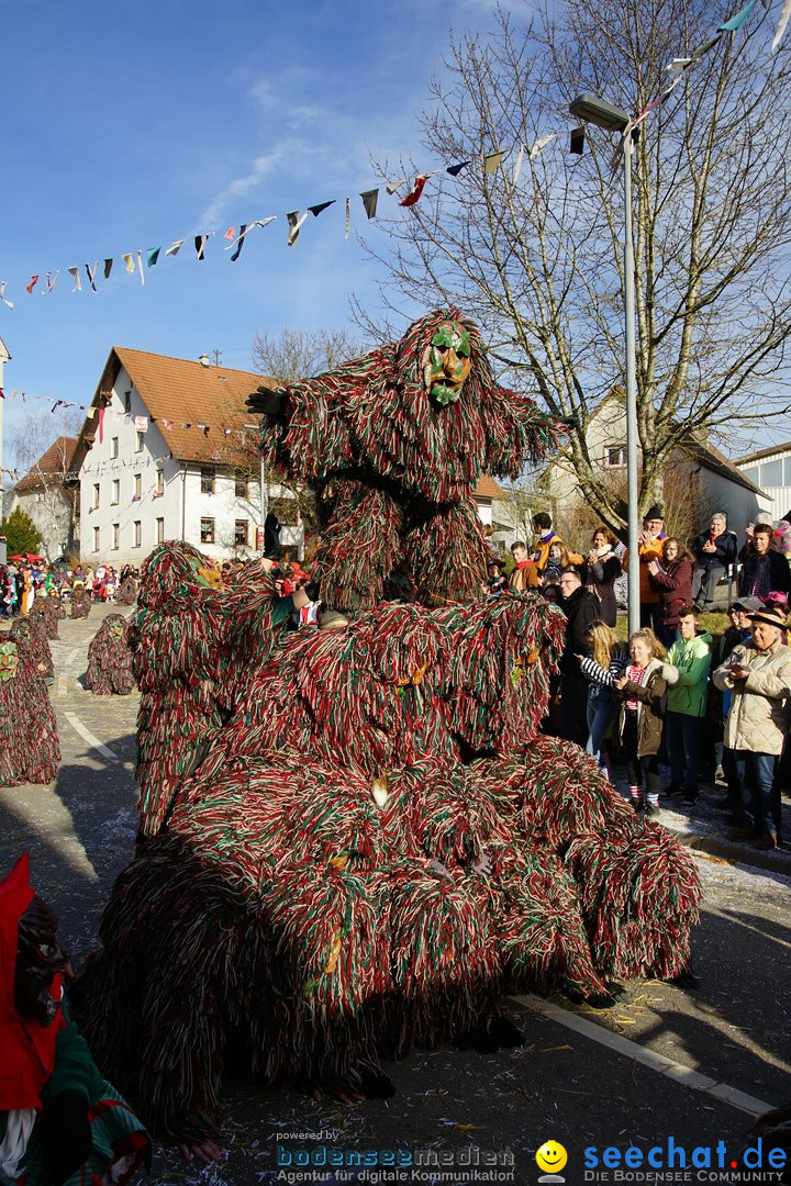 Jubilaeumsumzug - Kuh-Muh: Liggersdorf - Bodensee, 16.02.2020