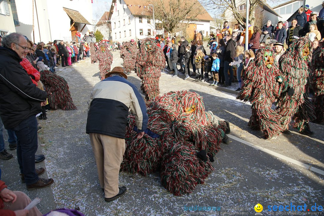 Jubilaeumsumzug - Kuh-Muh: Liggersdorf - Bodensee, 16.02.2020