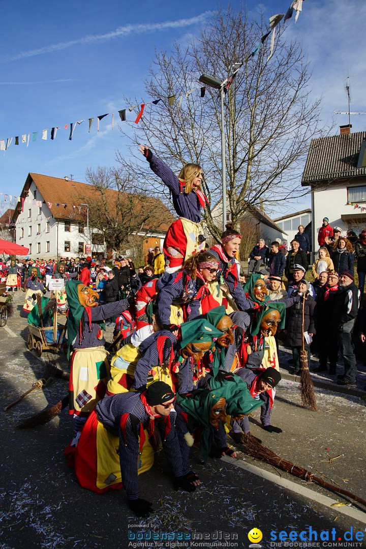 Jubilaeumsumzug - Kuh-Muh: Liggersdorf - Bodensee, 16.02.2020