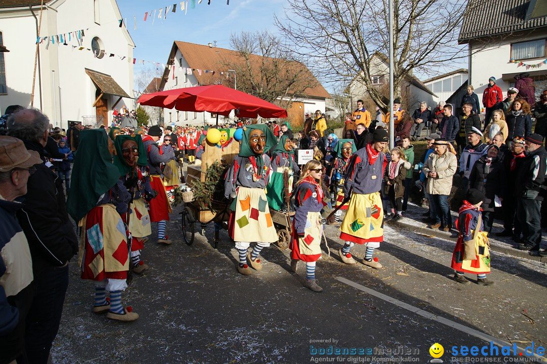 Jubilaeumsumzug - Kuh-Muh: Liggersdorf - Bodensee, 16.02.2020