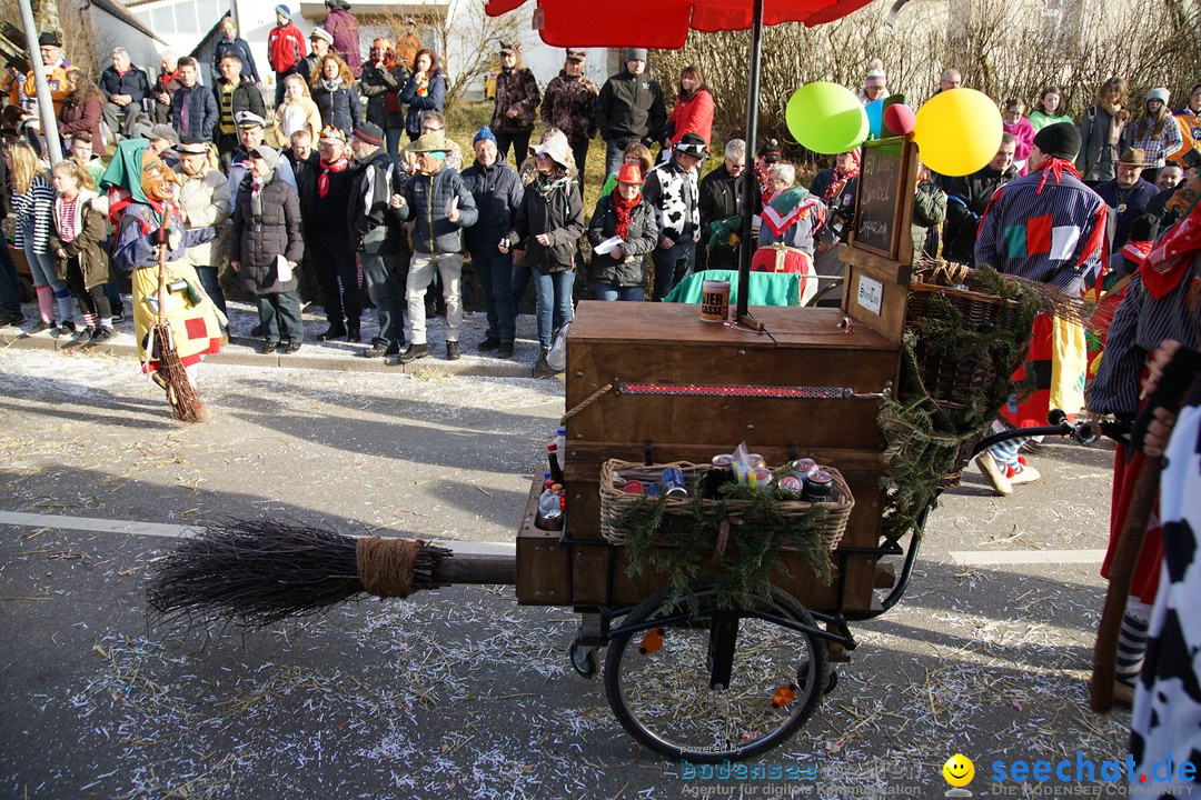 Jubilaeumsumzug - Kuh-Muh: Liggersdorf - Bodensee, 16.02.2020