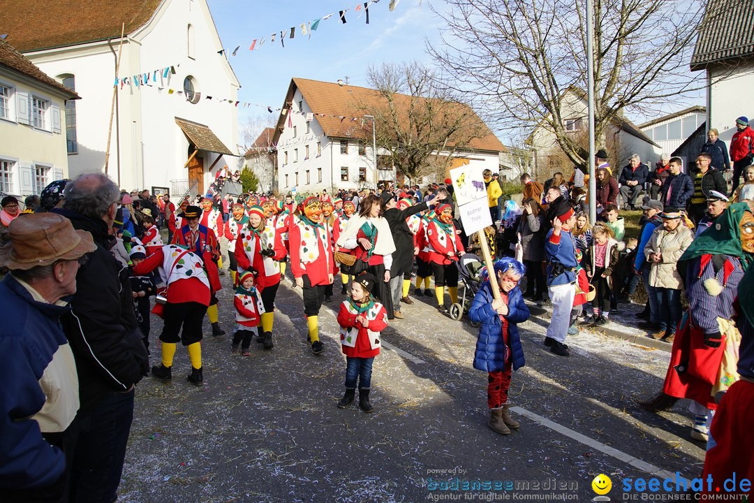 Jubilaeumsumzug - Kuh-Muh: Liggersdorf - Bodensee, 16.02.2020