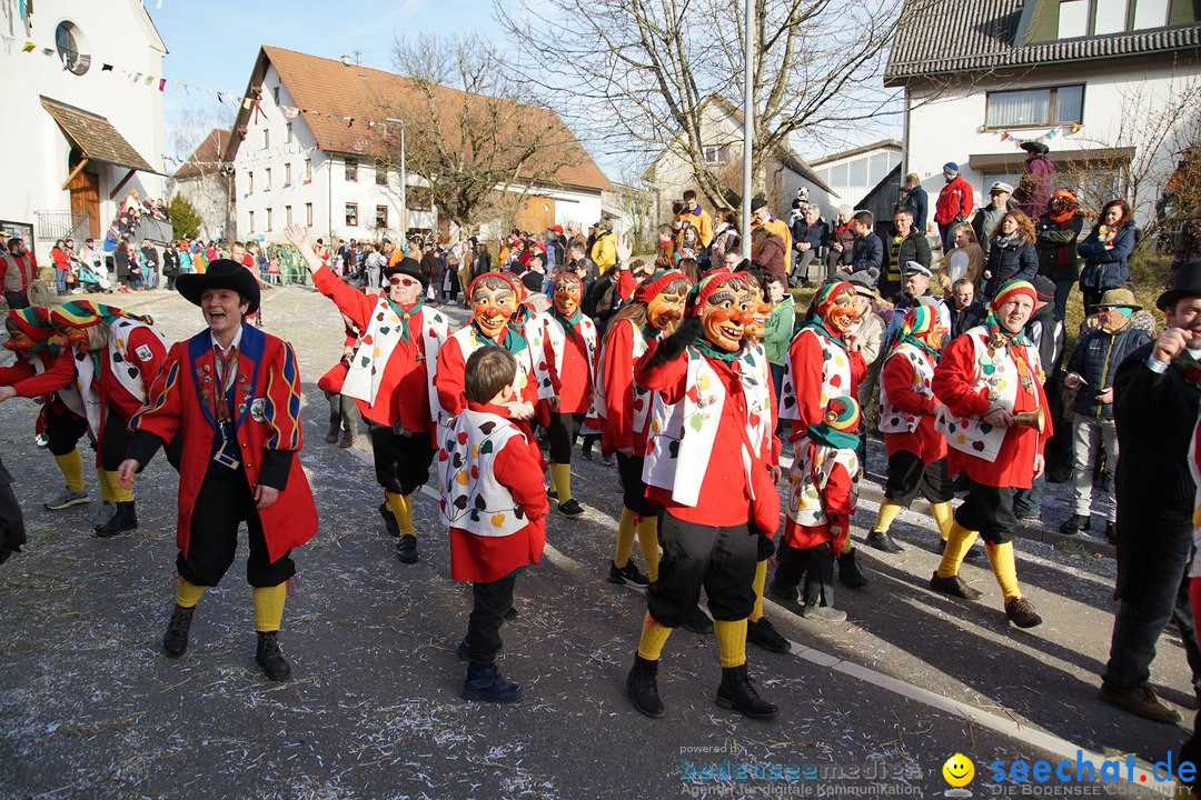 Jubilaeumsumzug - Kuh-Muh: Liggersdorf - Bodensee, 16.02.2020