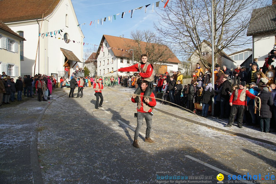 Jubilaeumsumzug - Kuh-Muh: Liggersdorf - Bodensee, 16.02.2020