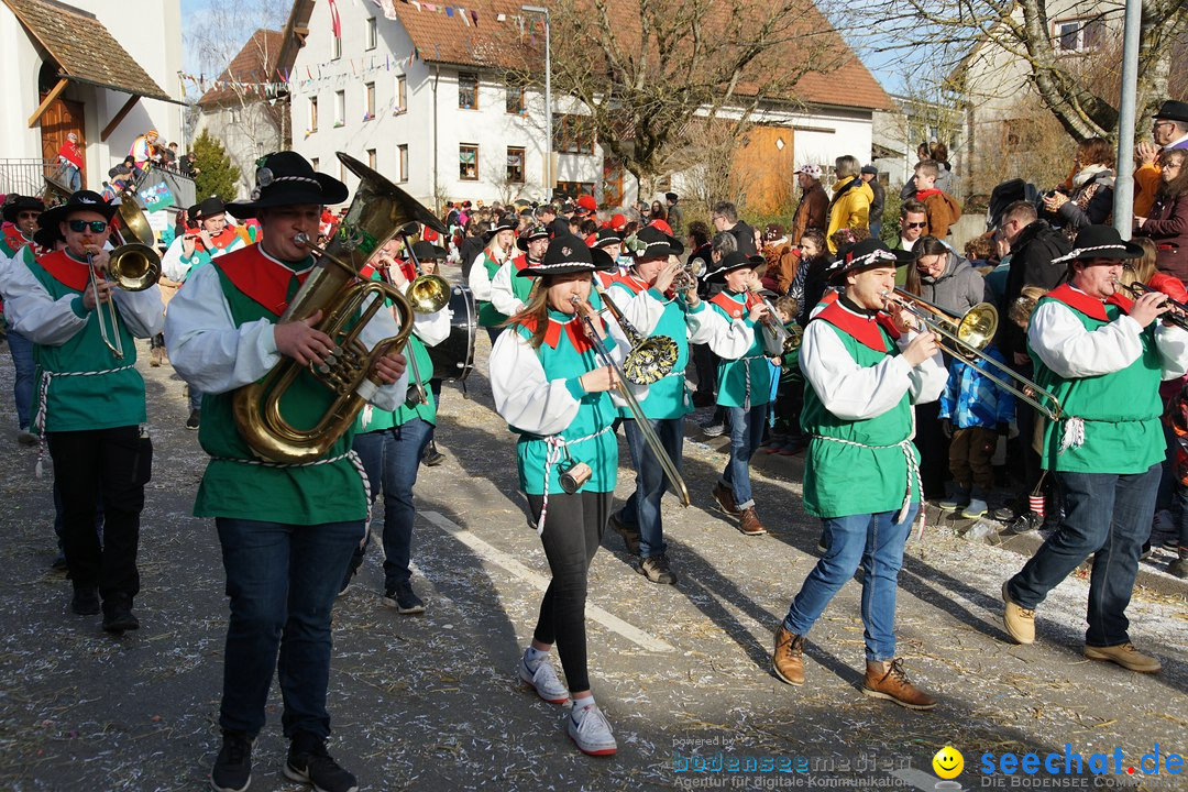 Jubilaeumsumzug - Kuh-Muh: Liggersdorf - Bodensee, 16.02.2020