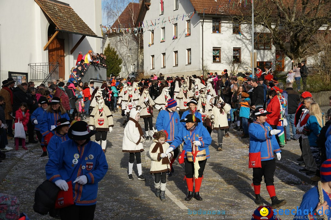 Jubilaeumsumzug - Kuh-Muh: Liggersdorf - Bodensee, 16.02.2020