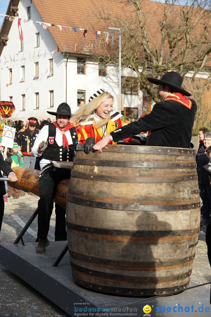 Jubilaeumsumzug - Kuh-Muh: Liggersdorf - Bodensee, 16.02.2020