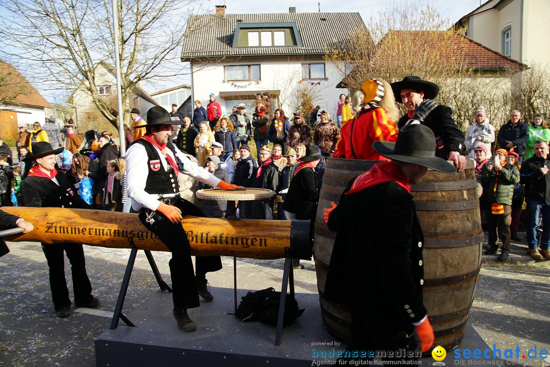 Jubilaeumsumzug - Kuh-Muh: Liggersdorf - Bodensee, 16.02.2020