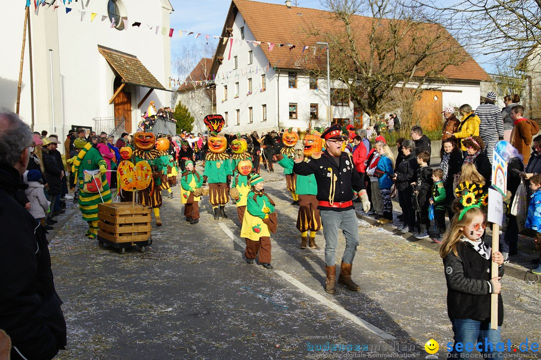 Jubilaeumsumzug - Kuh-Muh: Liggersdorf - Bodensee, 16.02.2020