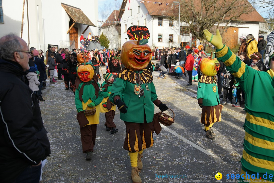 Jubilaeumsumzug - Kuh-Muh: Liggersdorf - Bodensee, 16.02.2020