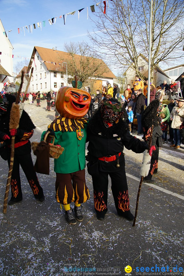 Jubilaeumsumzug - Kuh-Muh: Liggersdorf - Bodensee, 16.02.2020