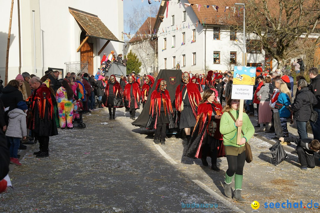 Jubilaeumsumzug - Kuh-Muh: Liggersdorf - Bodensee, 16.02.2020