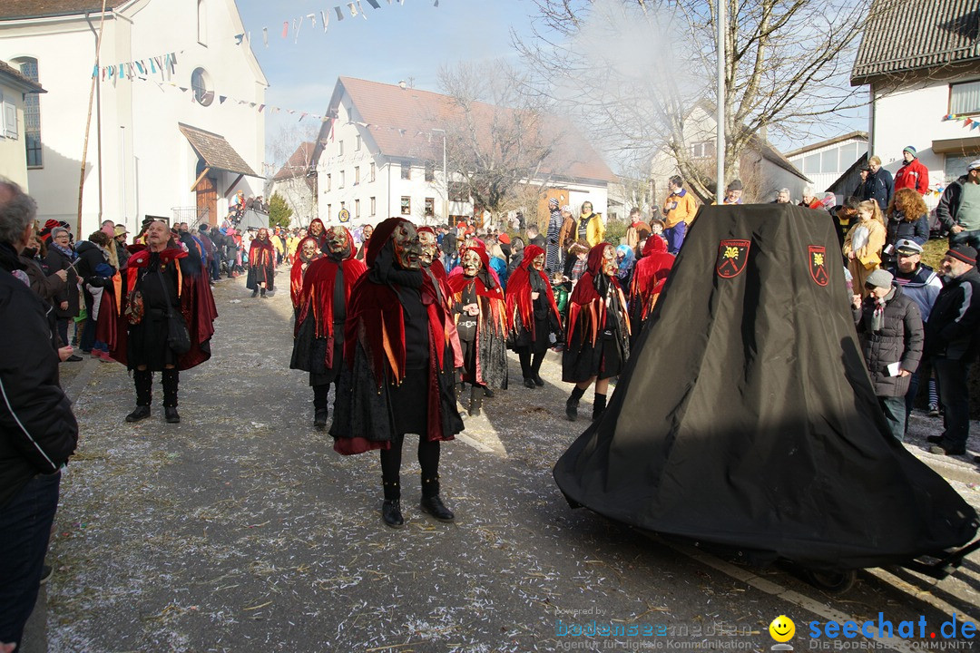 Jubilaeumsumzug - Kuh-Muh: Liggersdorf - Bodensee, 16.02.2020