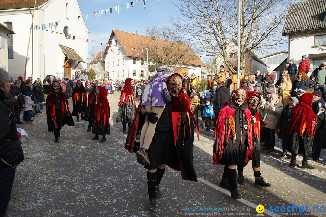 Jubilaeumsumzug - Kuh-Muh: Liggersdorf - Bodensee, 16.02.2020