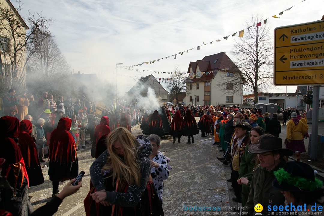 Jubilaeumsumzug - Kuh-Muh: Liggersdorf - Bodensee, 16.02.2020