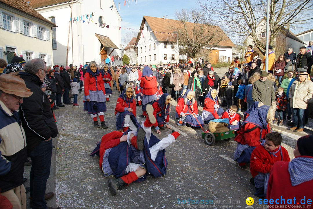 Jubilaeumsumzug - Kuh-Muh: Liggersdorf - Bodensee, 16.02.2020