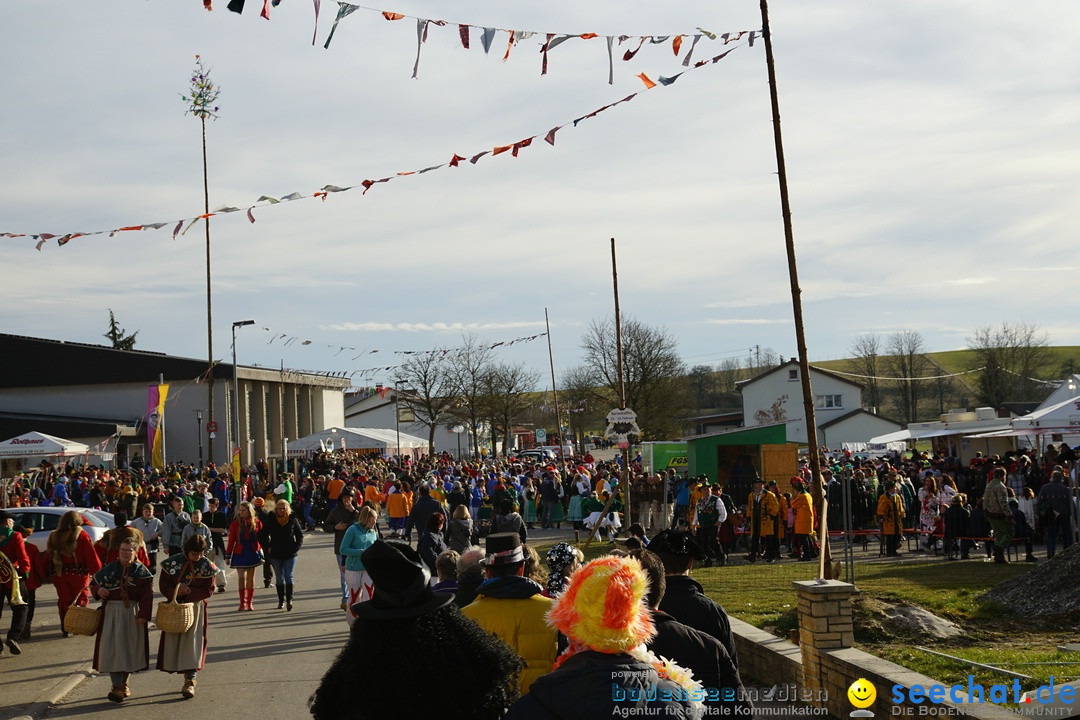 Jubilaeumsumzug - Kuh-Muh: Liggersdorf - Bodensee, 16.02.2020