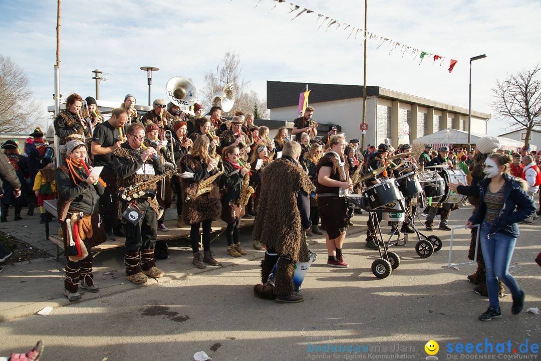 Jubilaeumsumzug - Kuh-Muh: Liggersdorf - Bodensee, 16.02.2020