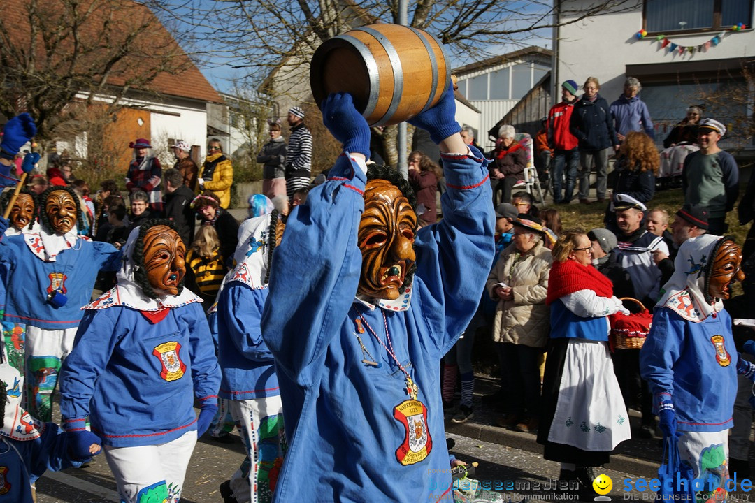 Jubilaeumsumzug - Kuh-Muh: Liggersdorf - Bodensee, 16.02.2020