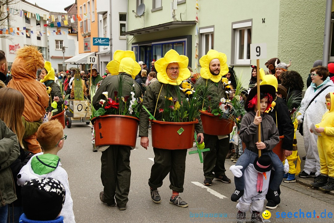 Fasnetsumzug - Fasching: Markdorf am Bodensee, 23.02.2020