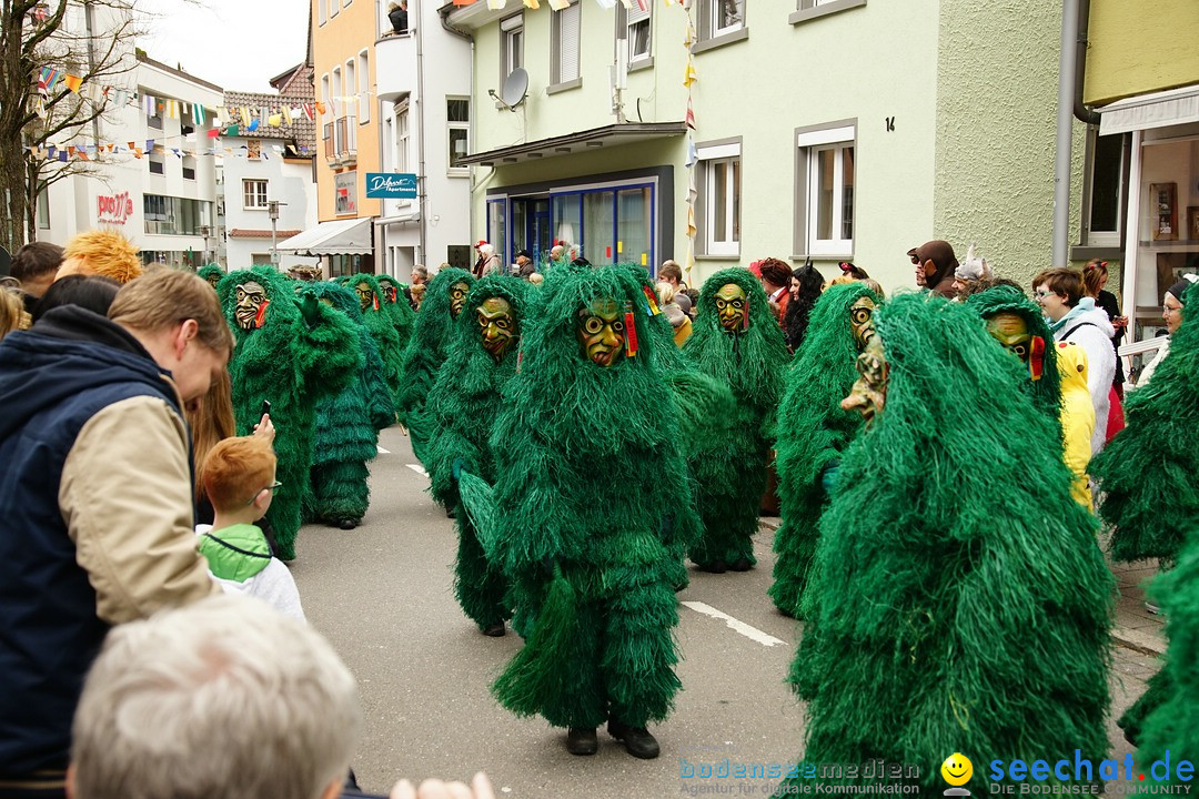 Fasnetsumzug - Fasching: Markdorf am Bodensee, 23.02.2020