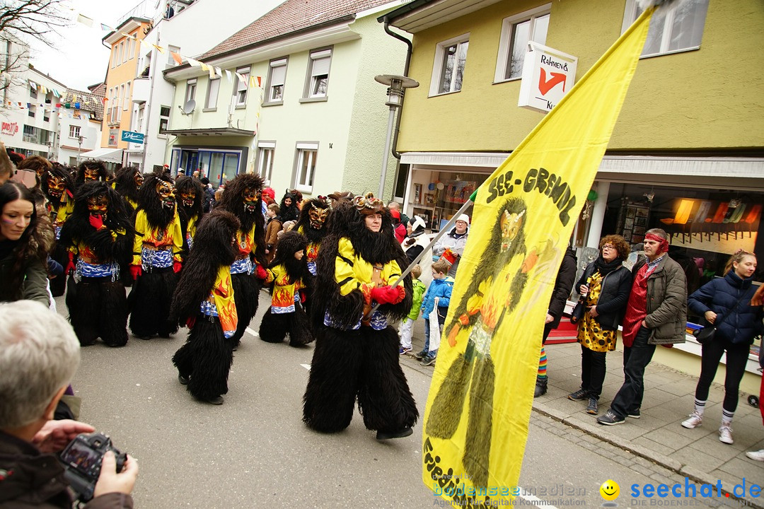 Fasnetsumzug - Fasching: Markdorf am Bodensee, 23.02.2020