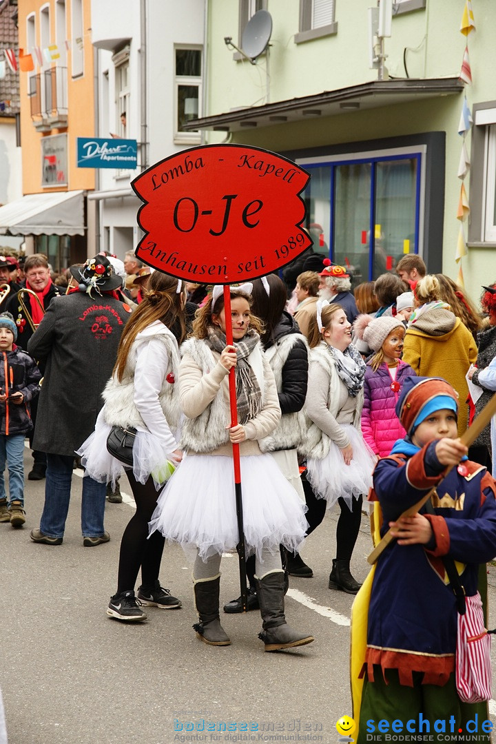 Fasnetsumzug - Fasching: Markdorf am Bodensee, 23.02.2020