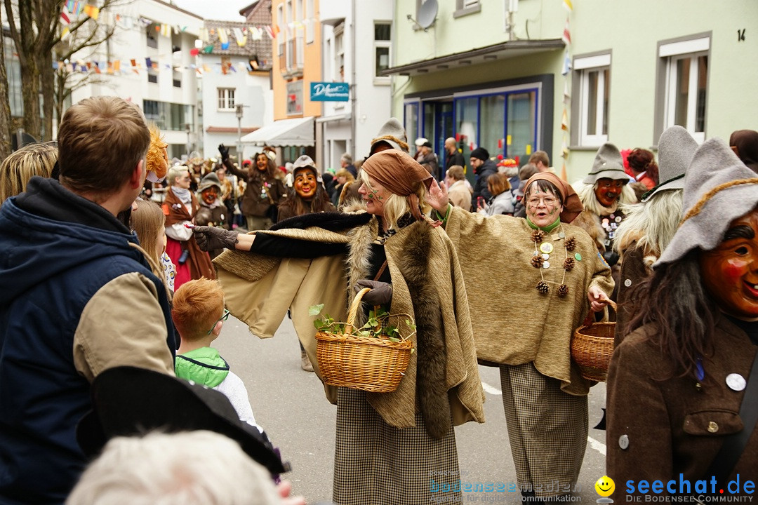 Fasnetsumzug - Fasching: Markdorf am Bodensee, 23.02.2020