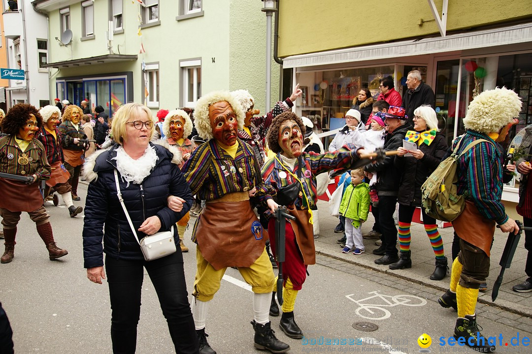 Fasnetsumzug - Fasching: Markdorf am Bodensee, 23.02.2020