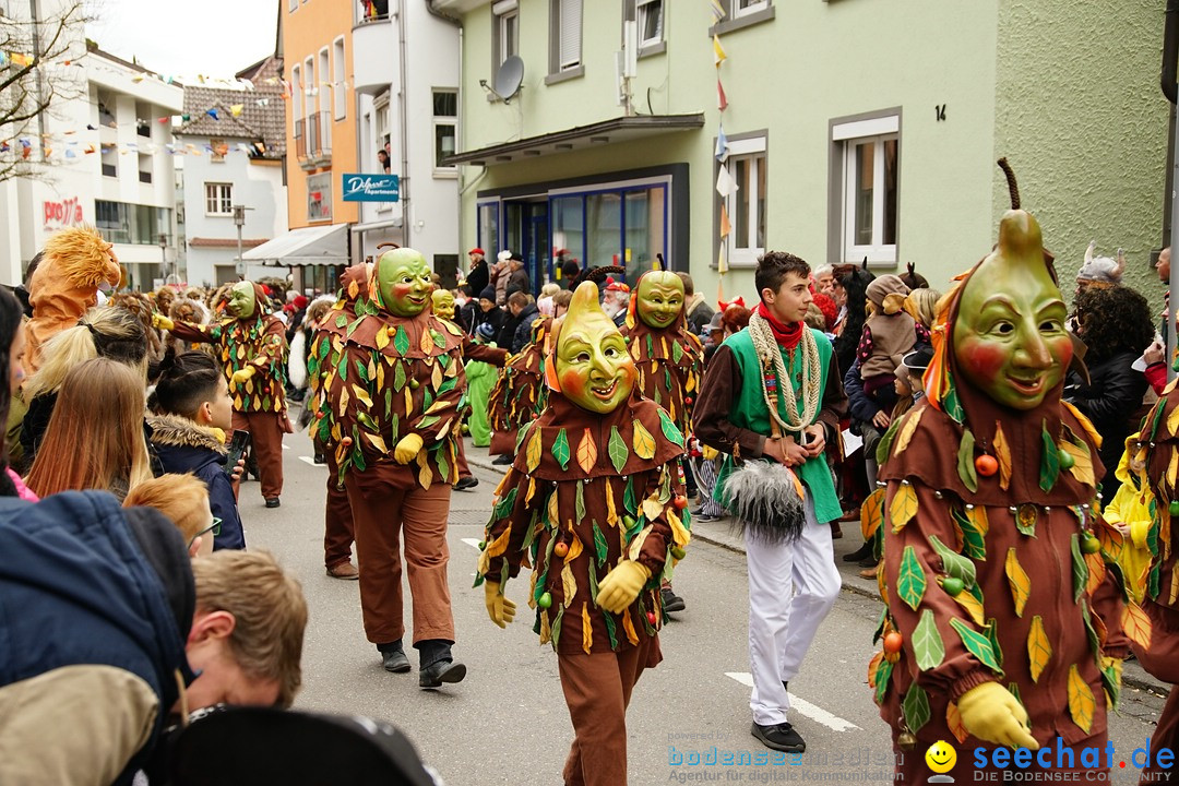 Fasnetsumzug - Fasching: Markdorf am Bodensee, 23.02.2020