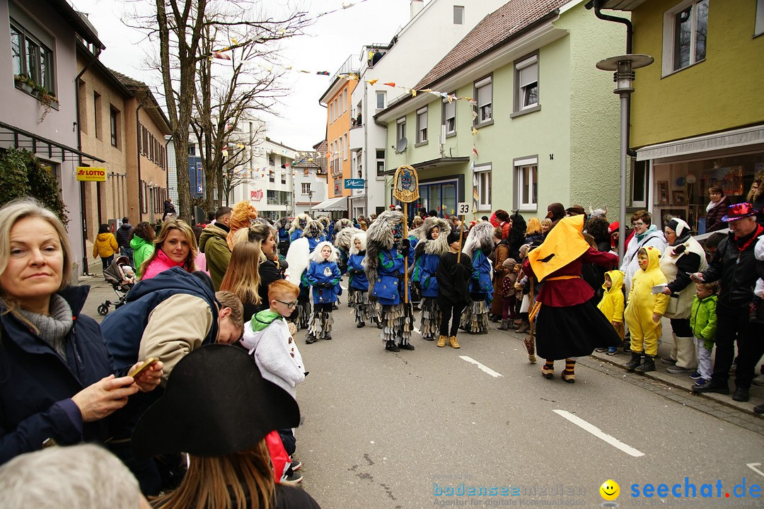 Fasnetsumzug - Fasching: Markdorf am Bodensee, 23.02.2020