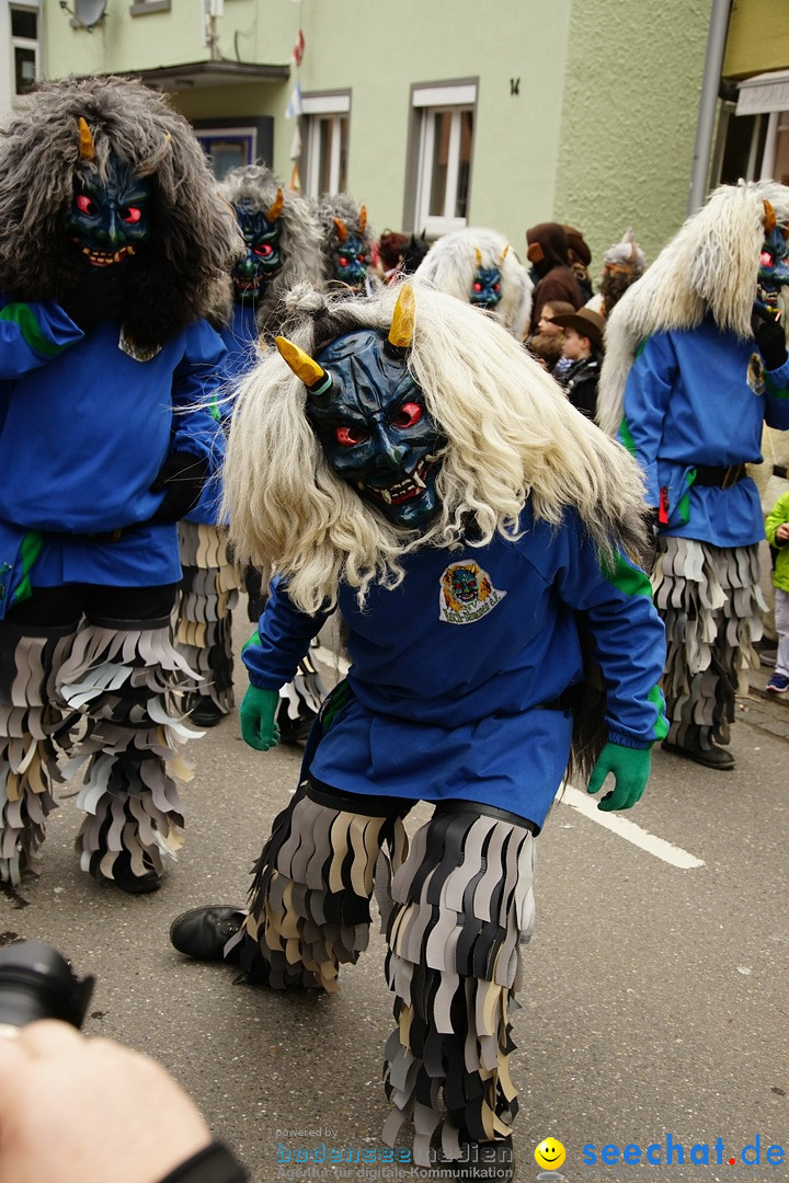 Fasnetsumzug - Fasching: Markdorf am Bodensee, 23.02.2020