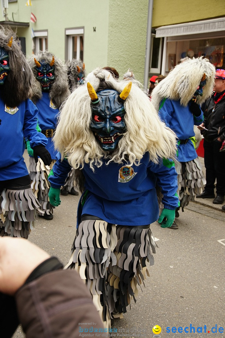 Fasnetsumzug - Fasching: Markdorf am Bodensee, 23.02.2020