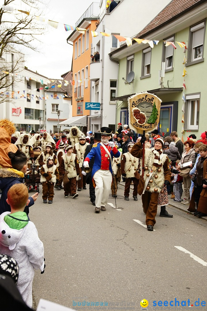 Fasnetsumzug - Fasching: Markdorf am Bodensee, 23.02.2020