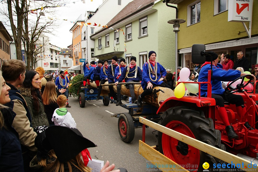 Fasnetsumzug - Fasching: Markdorf am Bodensee, 23.02.2020