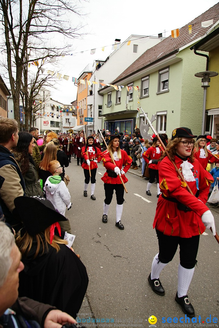 Fasnetsumzug - Fasching: Markdorf am Bodensee, 23.02.2020