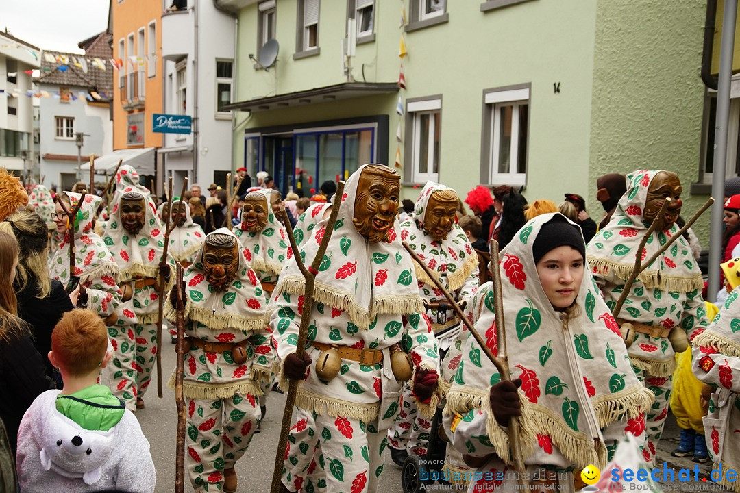 Fasnetsumzug - Fasching: Markdorf am Bodensee, 23.02.2020