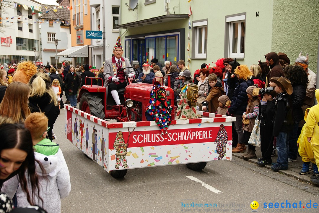 Fasnetsumzug - Fasching: Markdorf am Bodensee, 23.02.2020