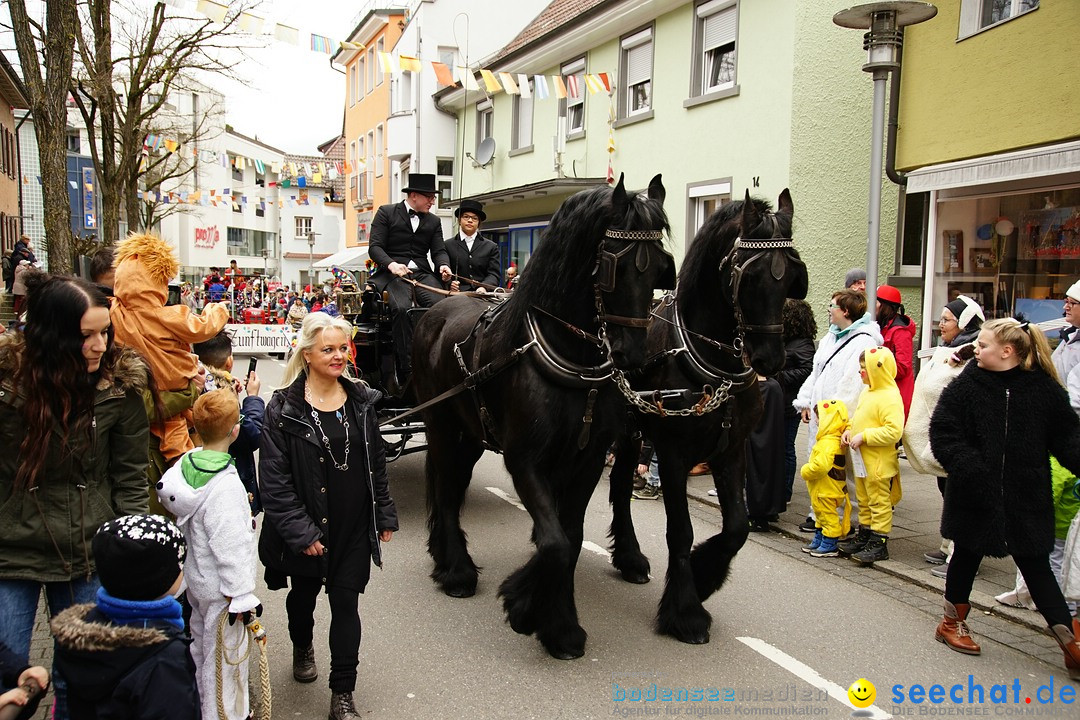 Fasnetsumzug - Fasching: Markdorf am Bodensee, 23.02.2020