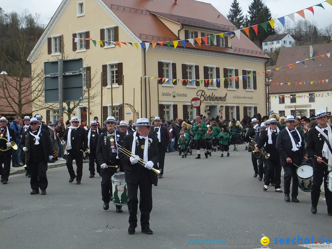 Fasnetsumzug, Narrensprung mit ueber 1200 Narren: Zwiefalten, 23.02.2020