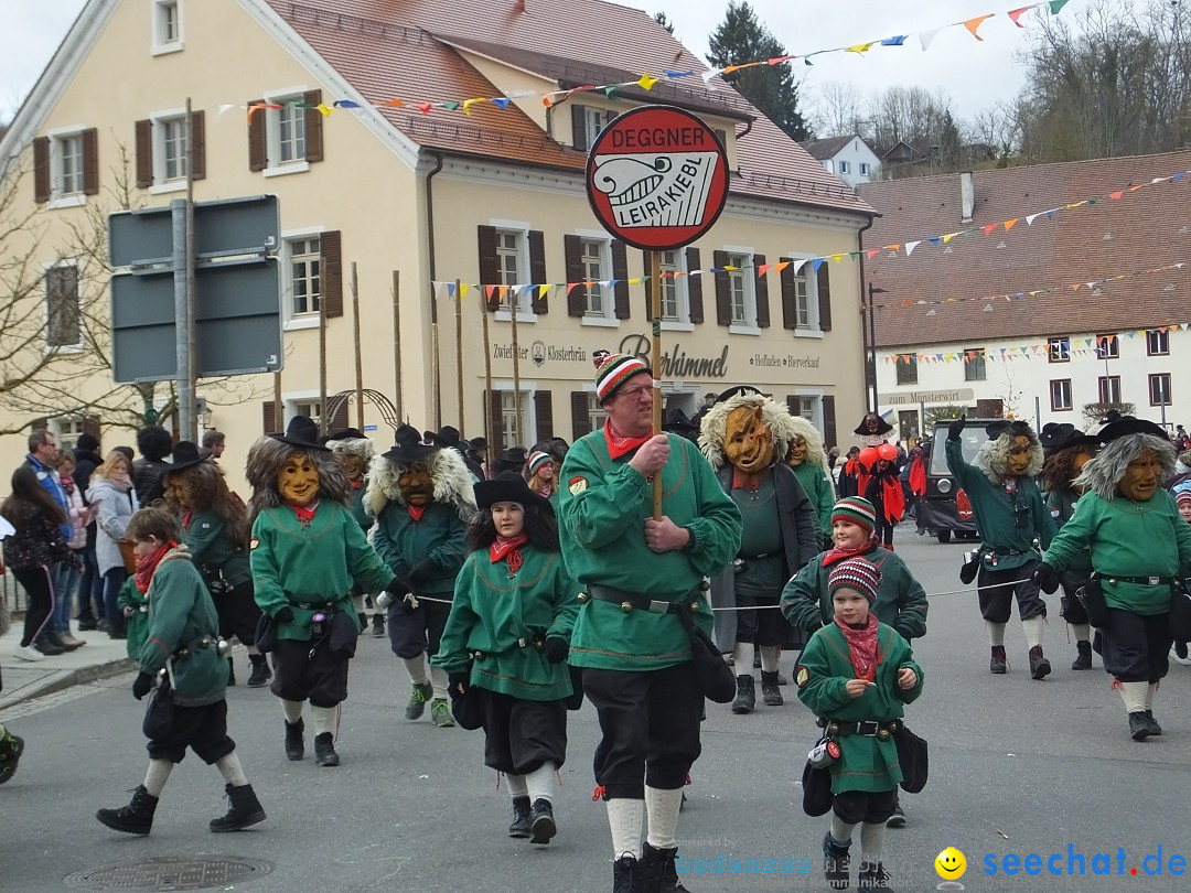 Fasnetsumzug, Narrensprung mit ueber 1200 Narren: Zwiefalten, 23.02.2020