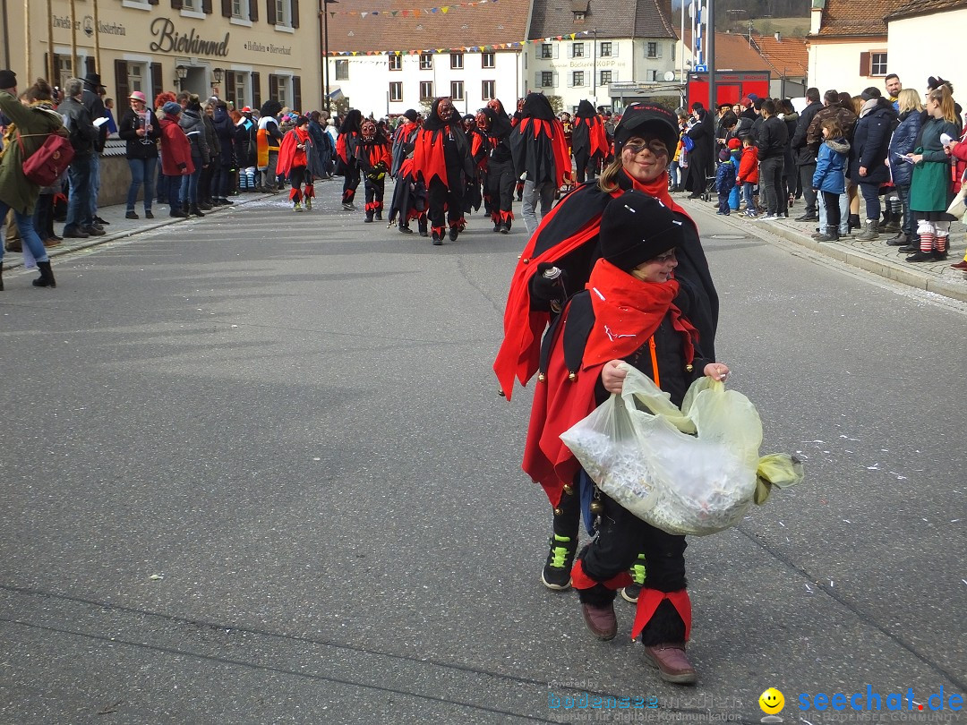 Fasnetsumzug, Narrensprung mit ueber 1200 Narren: Zwiefalten, 23.02.2020