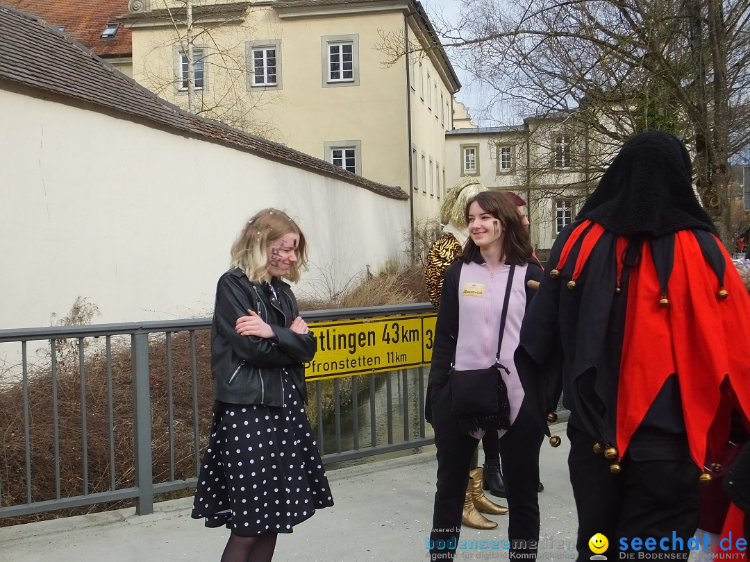 Fasnetsumzug, Narrensprung mit ueber 1200 Narren: Zwiefalten, 23.02.2020