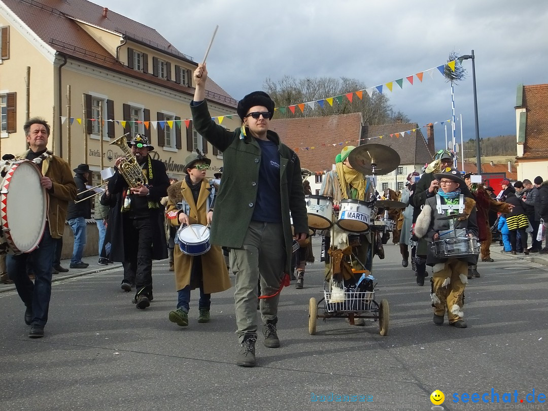 Fasnetsumzug, Narrensprung mit ueber 1200 Narren: Zwiefalten, 23.02.2020