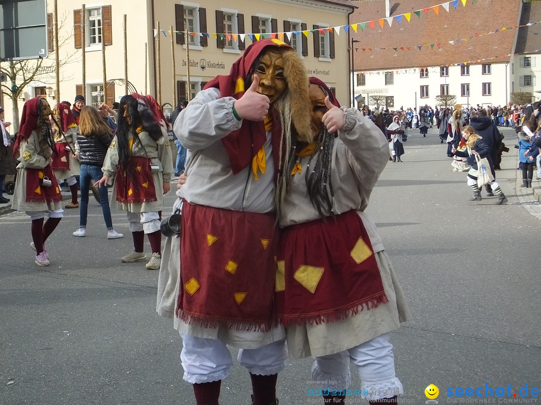 Fasnetsumzug, Narrensprung mit ueber 1200 Narren: Zwiefalten, 23.02.2020