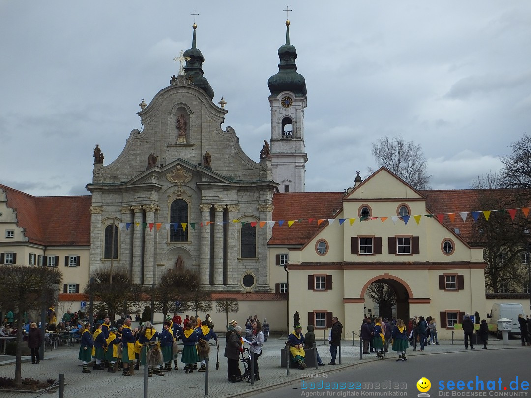 Fasnetsumzug, Narrensprung mit ueber 1200 Narren: Zwiefalten, 23.02.2020