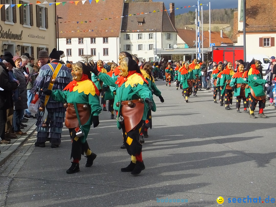 Fasnetsumzug, Narrensprung mit ueber 1200 Narren: Zwiefalten, 23.02.2020