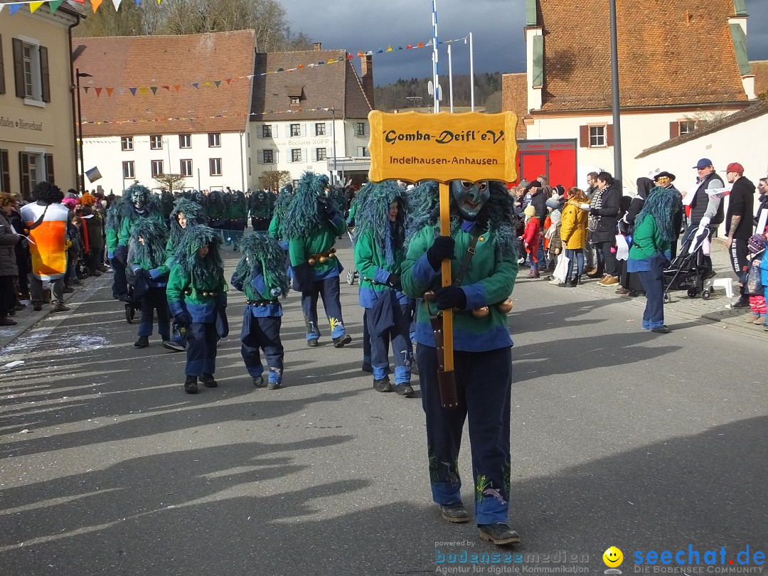 Fasnetsumzug, Narrensprung mit ueber 1200 Narren: Zwiefalten, 23.02.2020