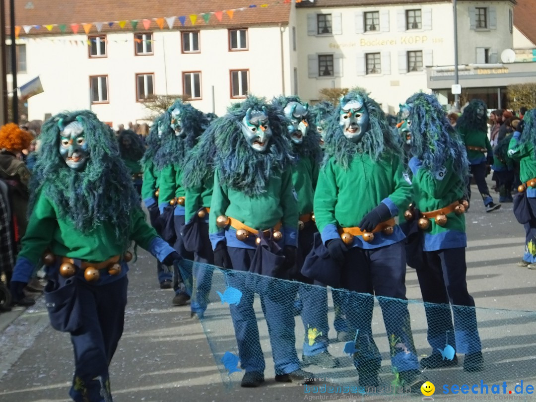 Fasnetsumzug, Narrensprung mit ueber 1200 Narren: Zwiefalten, 23.02.2020