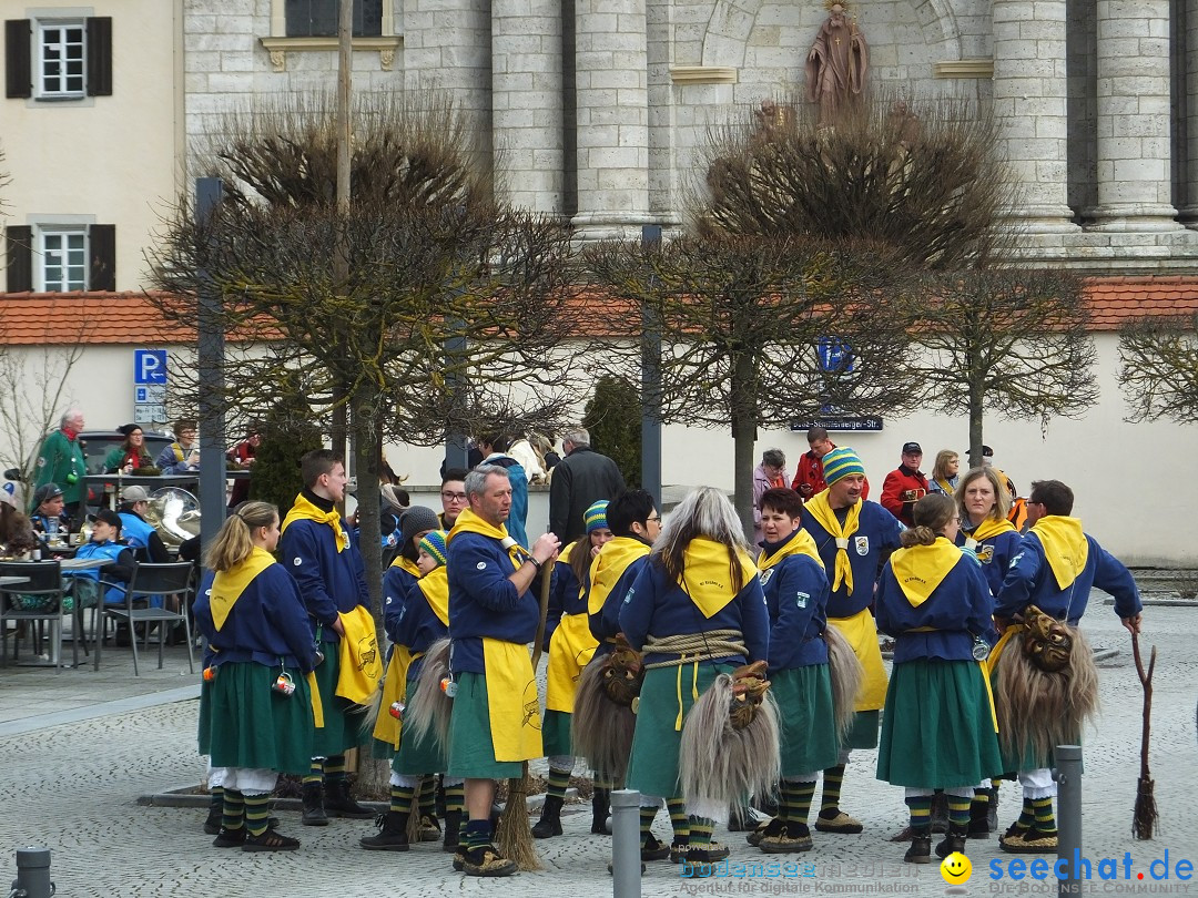 Fasnetsumzug, Narrensprung mit ueber 1200 Narren: Zwiefalten, 23.02.2020